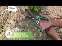 PODADOR / COSECHA  FRUTOS 200MM LONG.HOJA  CORTE 50MM WINLAND / 803T