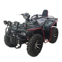 CUATRIMOTO ATV 4X4  PLAYA  VERDE MOTOR 250CC ZS167MM-L 8R600057 VIN LGOSCLLP4RP520752 AÑO 2024 CATVP01