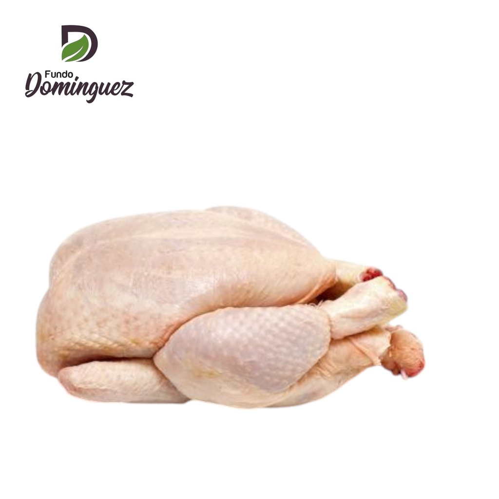 CARNE GALLINA CHACRA ENTERO EVISCERADO / CG01