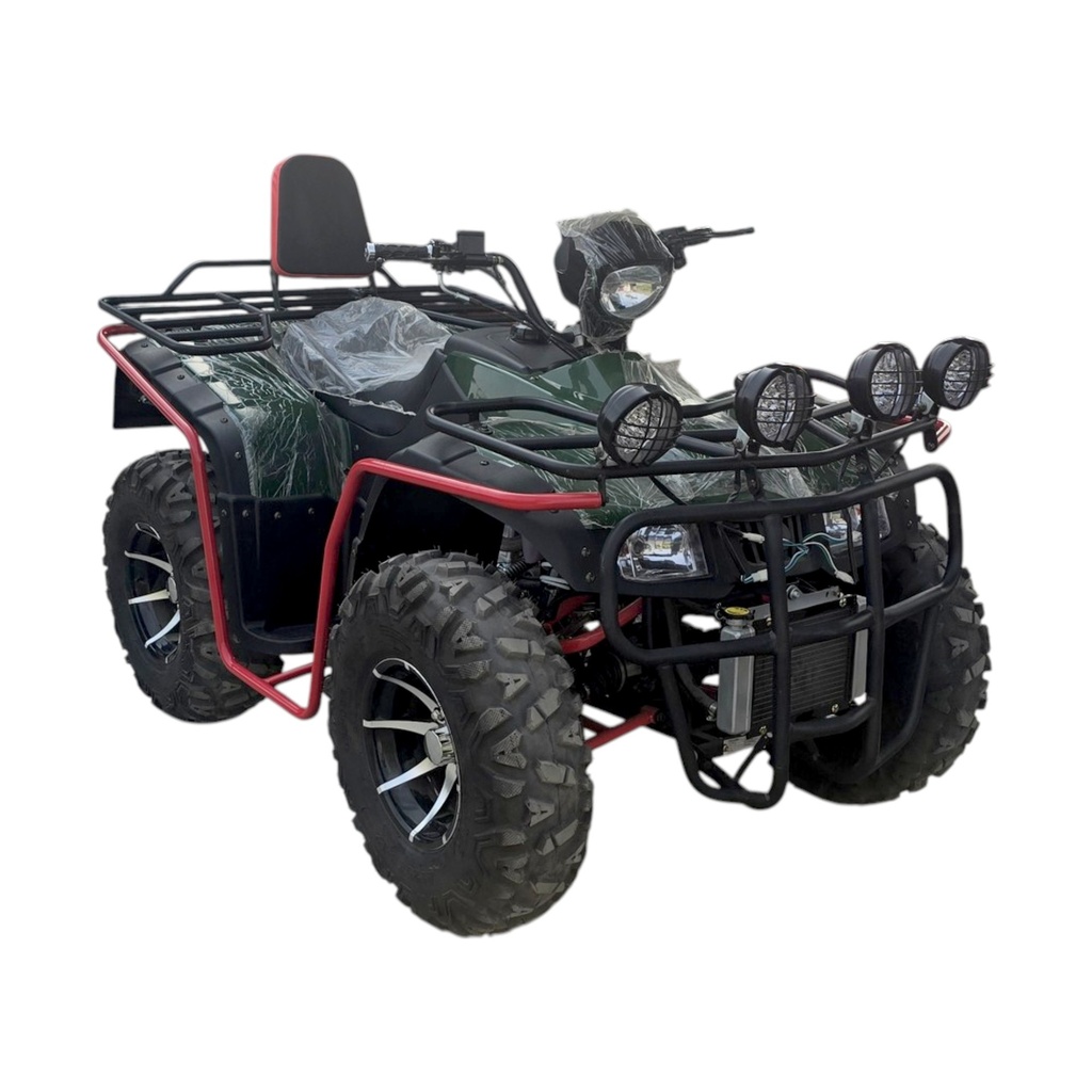 CUATRIMOTO ATV 4X4  PLAYA  VERDE MOTOR 250CC ZS167MM-L 8R600057 VIN LGOSCLLP4RP520752 AÑO 2024 CATVP01