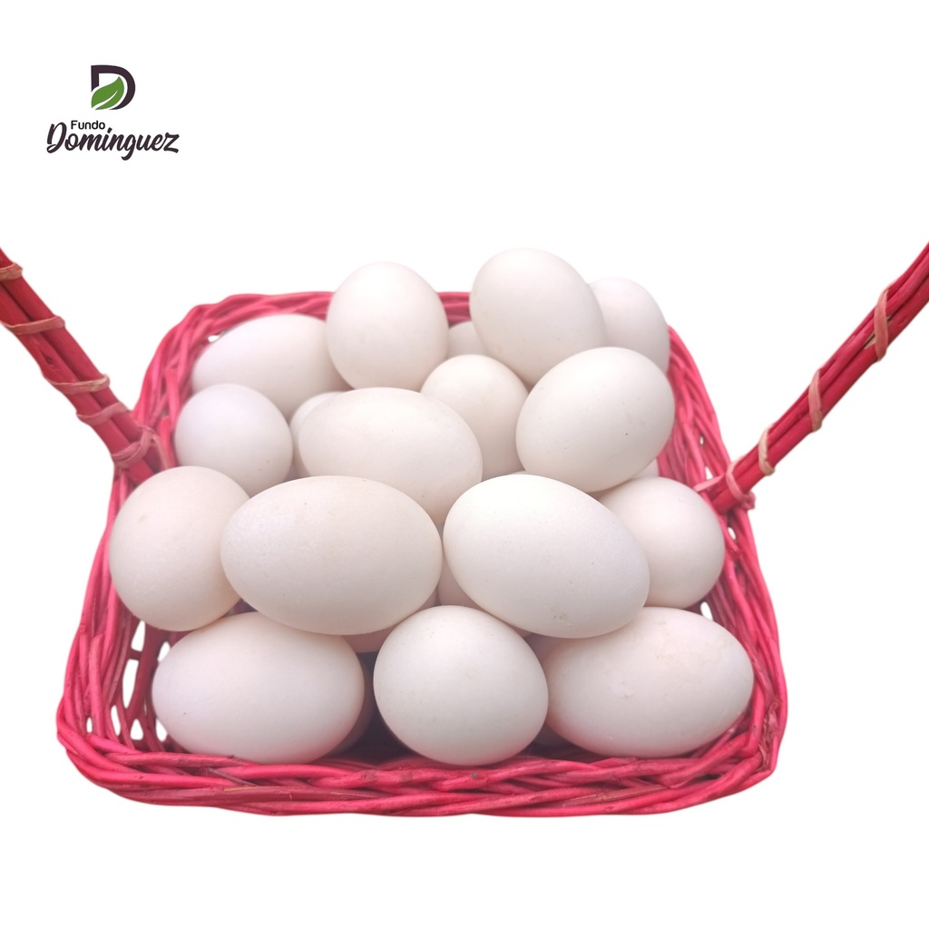 HUEVO PATO CORRAL x KG / HP01