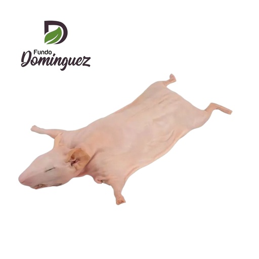 [CC02] CARNE  CUY ENTERO EVISCERADO (6 MESES) / CC02
