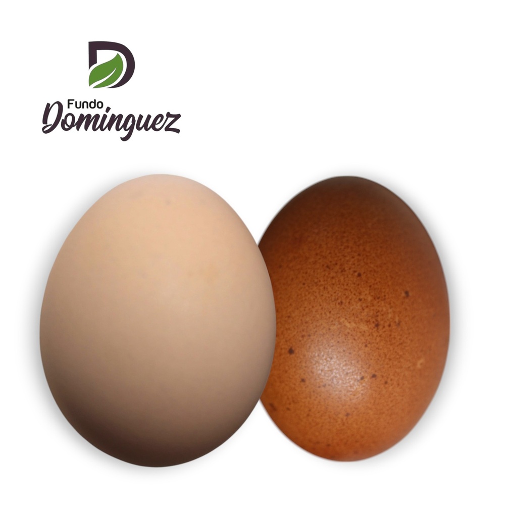 HUEVO GALLINA CORRAL  x KG / HG01