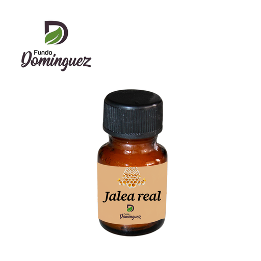 [J01] JALEA REAL DE ABEJA 10 G J01