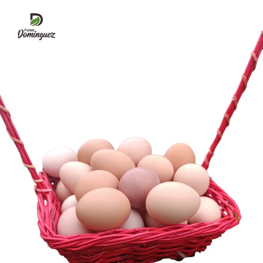 [HG01] HUEVO GALLINA CORRAL  x KG / HG01